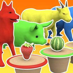 Find the same animal