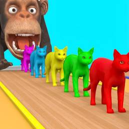 Find the same animal